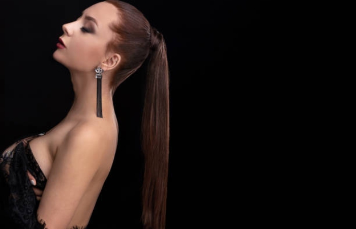 Low, Elegant And Polished Pigtails